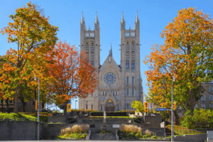 Things to do after Moving to Guelph