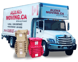 Aleks truck and bin
