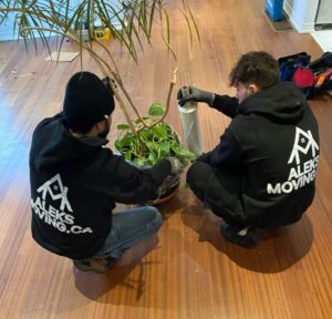 Can Movers Move Plants