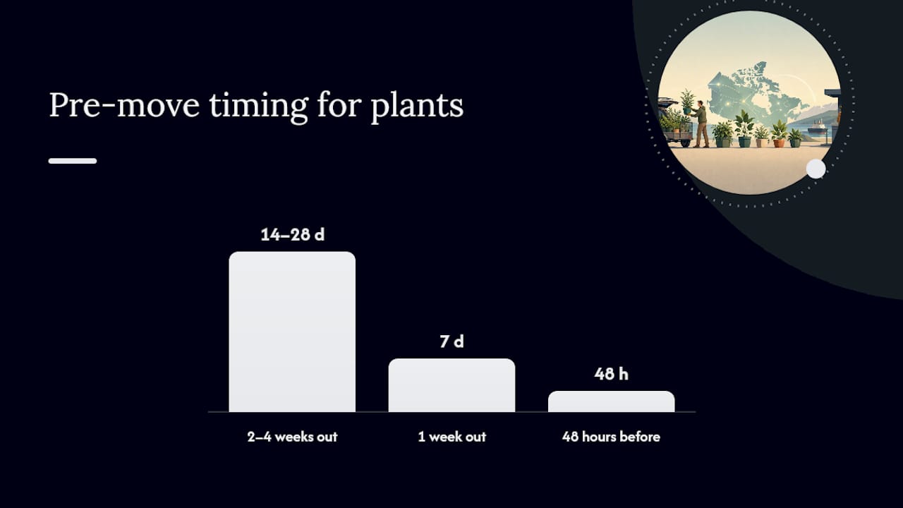 Your pre-move checklist for moving with plants — overview diagram